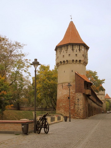 Alcuni aspetti storici sullo studio dei molluschi a Sibiu,RO